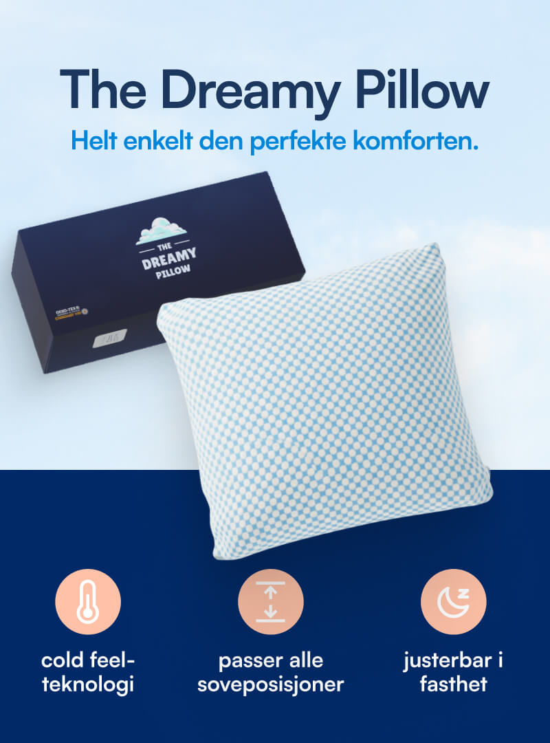 Dreamy Pute (Bambus & Memory Foam)