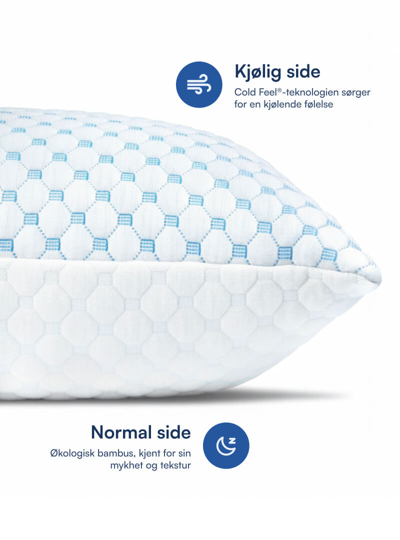 Dreamy Pute (Bambus & Memory Foam)